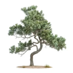 1774663215990.png 1774663215990.png