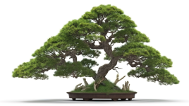 1774663919214.png 1774663919214.png